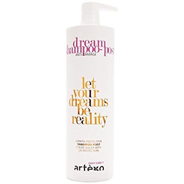 Artego Dream Shampoo
