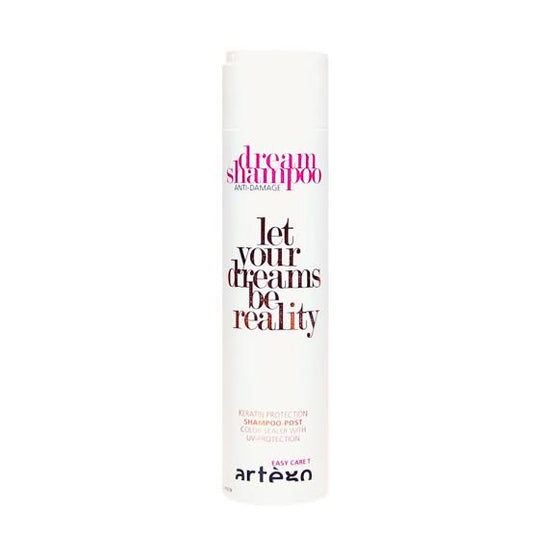 Artego Dream Shampoo 250ml